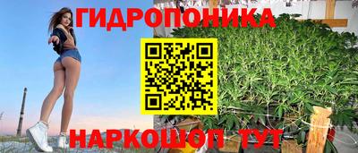 соль ск Будённовск