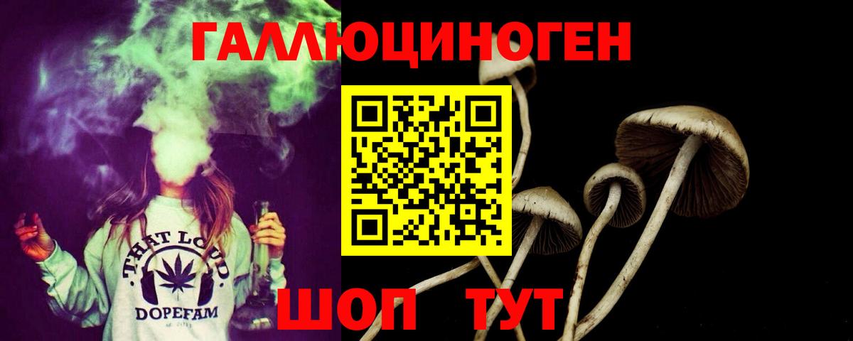 Галлюциногенные грибы MAGIC MUSHROOMS  Вход с VPN  Чита  Псилоцибиновые грибы Psilocybe 